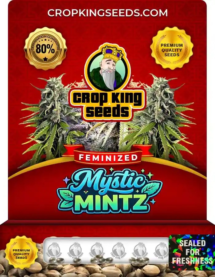Mystic Mintz Strain Feminized Seeds