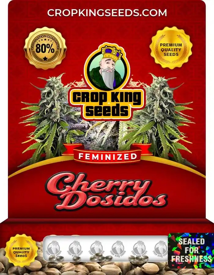 Cherry Dosidos Feminized Seeds