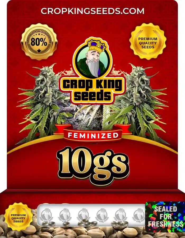 10gs Feminized Seeds