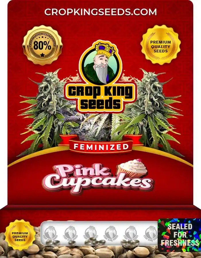 Pink Cupcakes Feminized Seeds