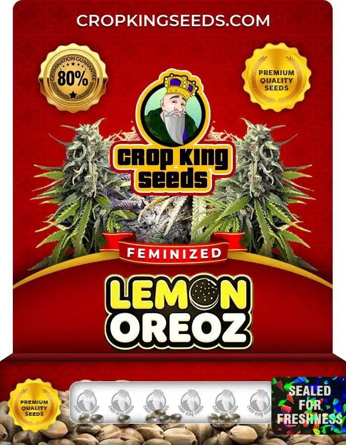Lemon Oreoz Strain Feminized Marijuana Seeds