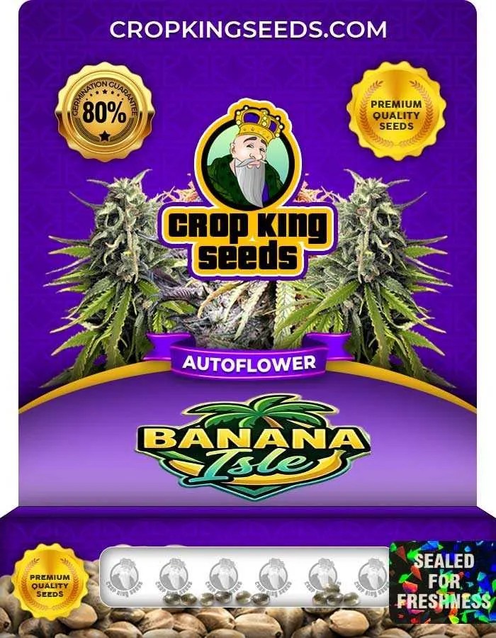 Banana Isle Autoflower Seeds