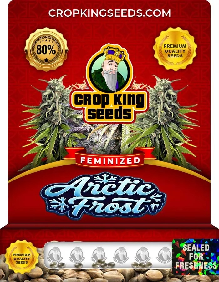 Arctic Frost Strain Feminized Seeds