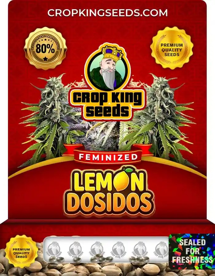 Lemon Dosidos Strain Feminized Seeds
