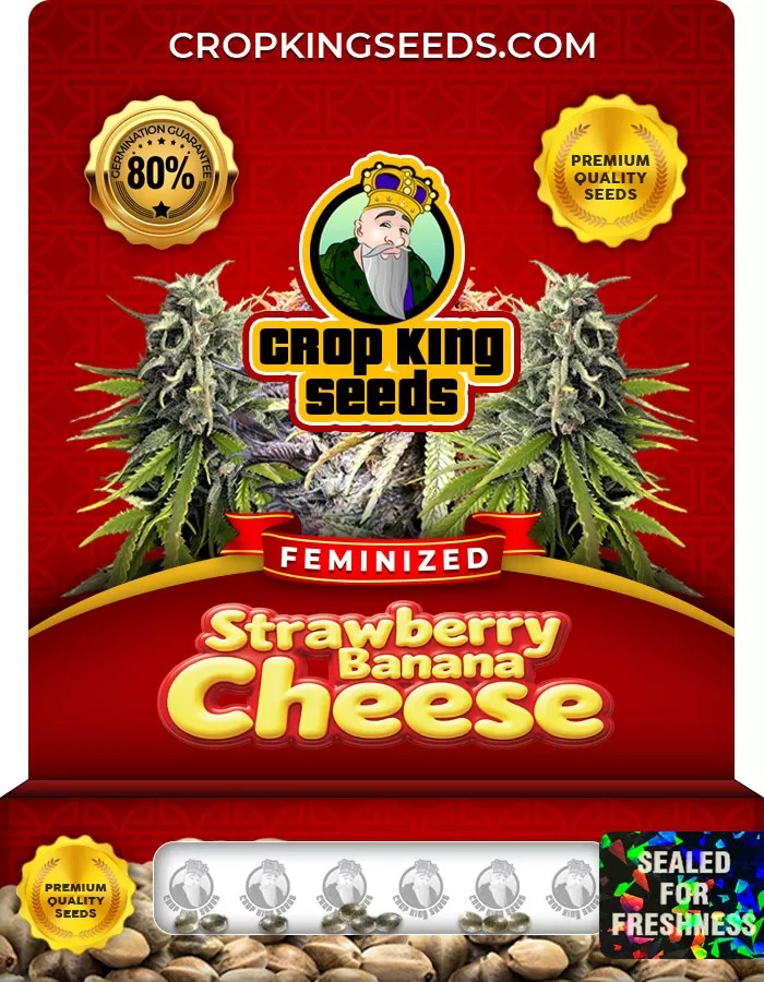 Strawberry Banana Cheese Strain Feminized Marijuana Seeds
