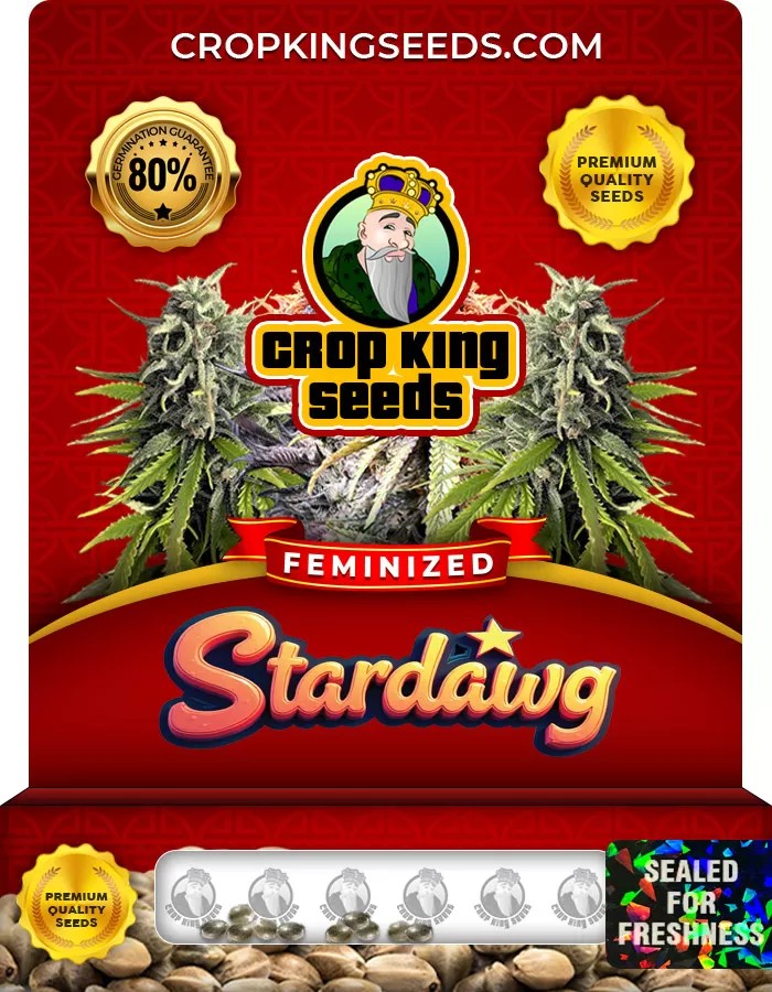 Stardawg Strain Feminized Marijuana Seeds