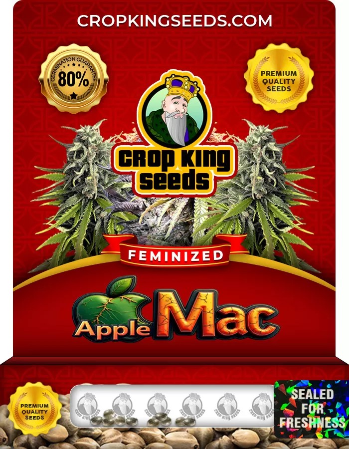 Apple Mac Feminized Marijuana Seeds