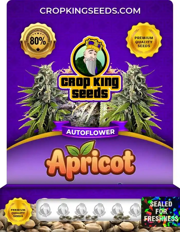 Apricot Autoflower Seeds