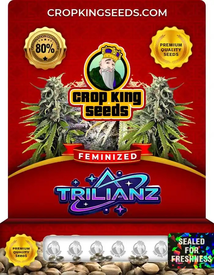 Trillianz Strain Feminized Seeds