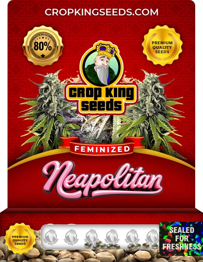 Neapolitan Feminized Marijuana Seeds