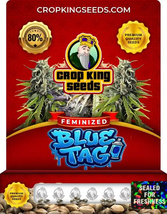 Blue Tag Strain Feminized Seeds