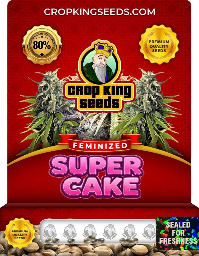 Super Cake Strain Feminized Seeds