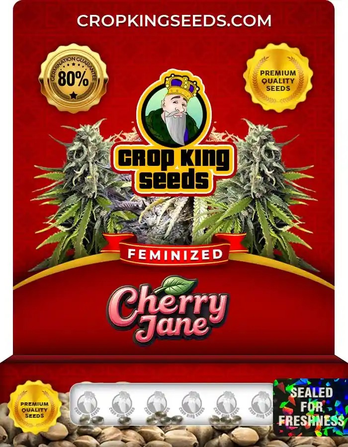 Cherry Jane Feminized Seeds