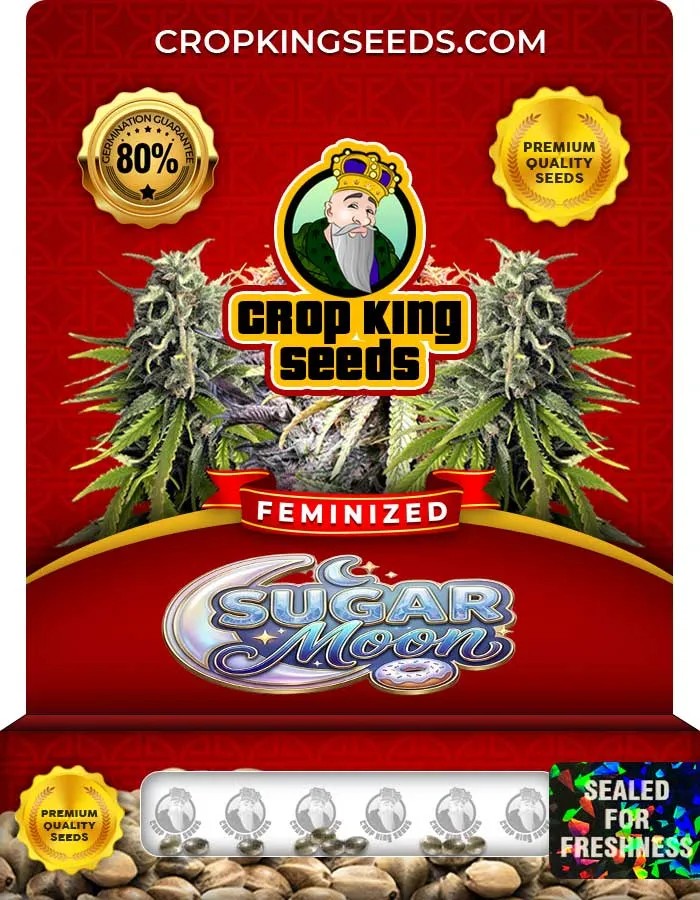 Sugar Moon Strain Feminized Seeds