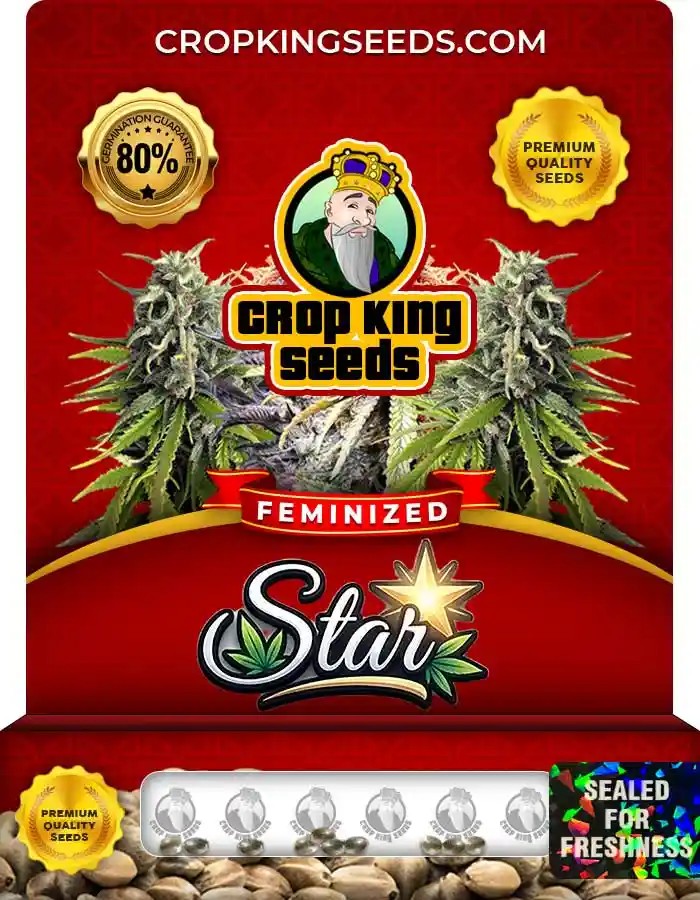 Star Feminized Seeds