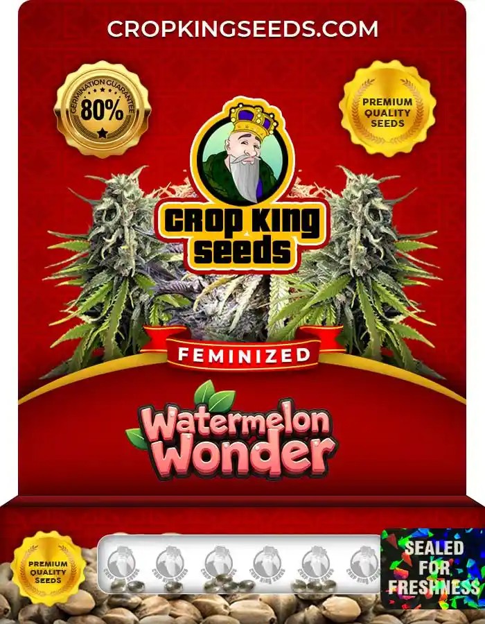 Watermelon Wonder Strain Feminized Marijuana Seeds
