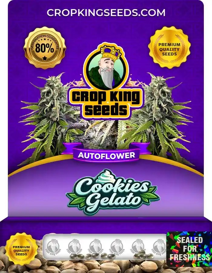 Cookies Gelato Autoflower Seeds