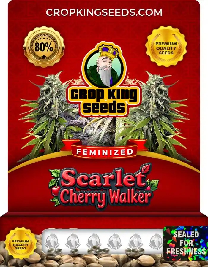 Scarlet Cherry Walker Strain Feminized Seeds