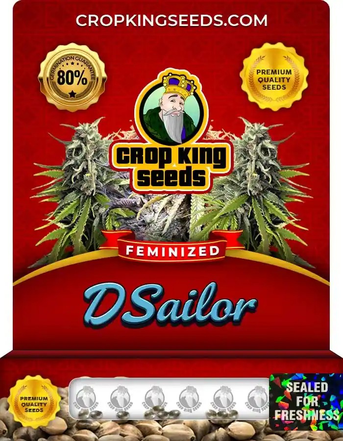 D Sailor Feminized Seeds