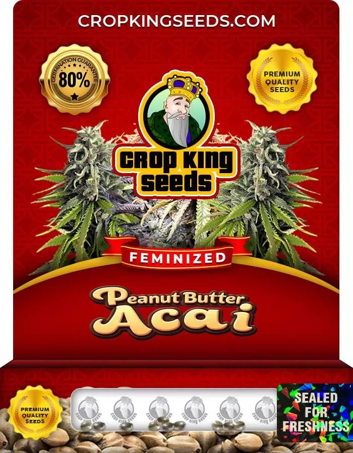 Peanut Butter Acai Strain Feminized Marijuana Seeds