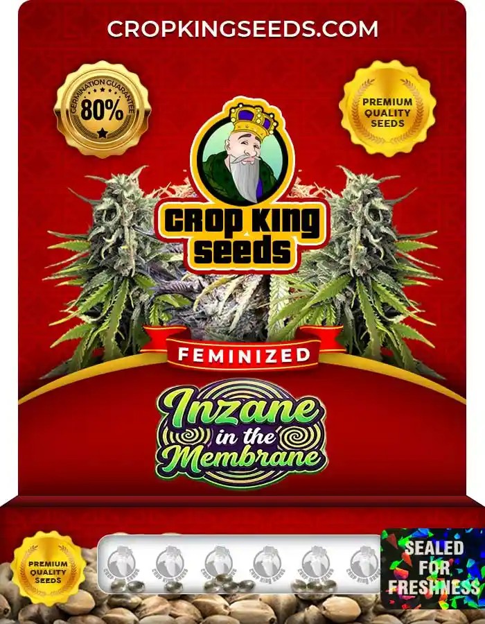 Inzane In The Membrane Feminized Seeds