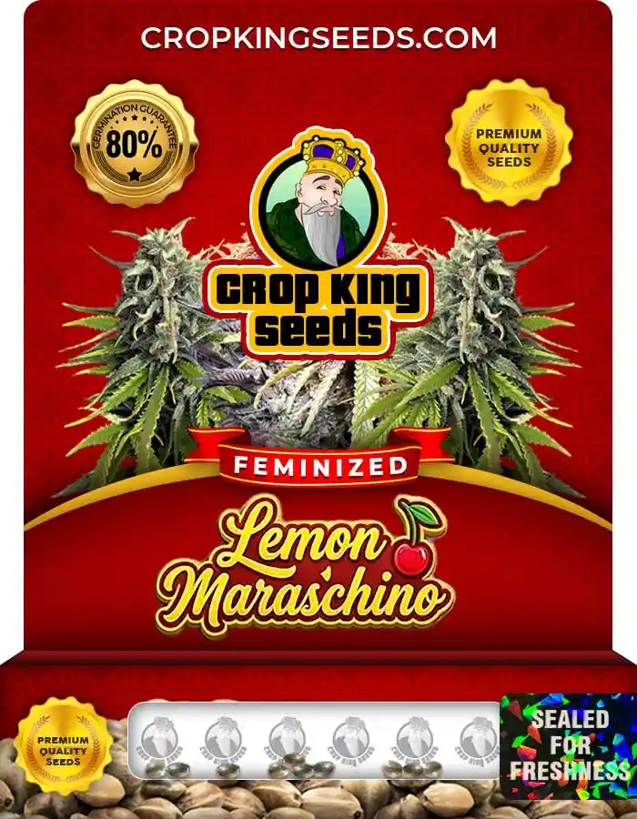 Lemon Maraschino Strain Feminized Marijuana Seeds