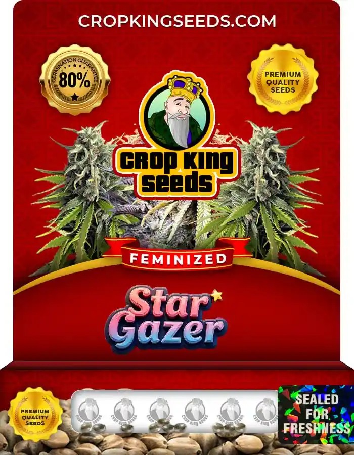 Stargazer Strain Feminized Seeds