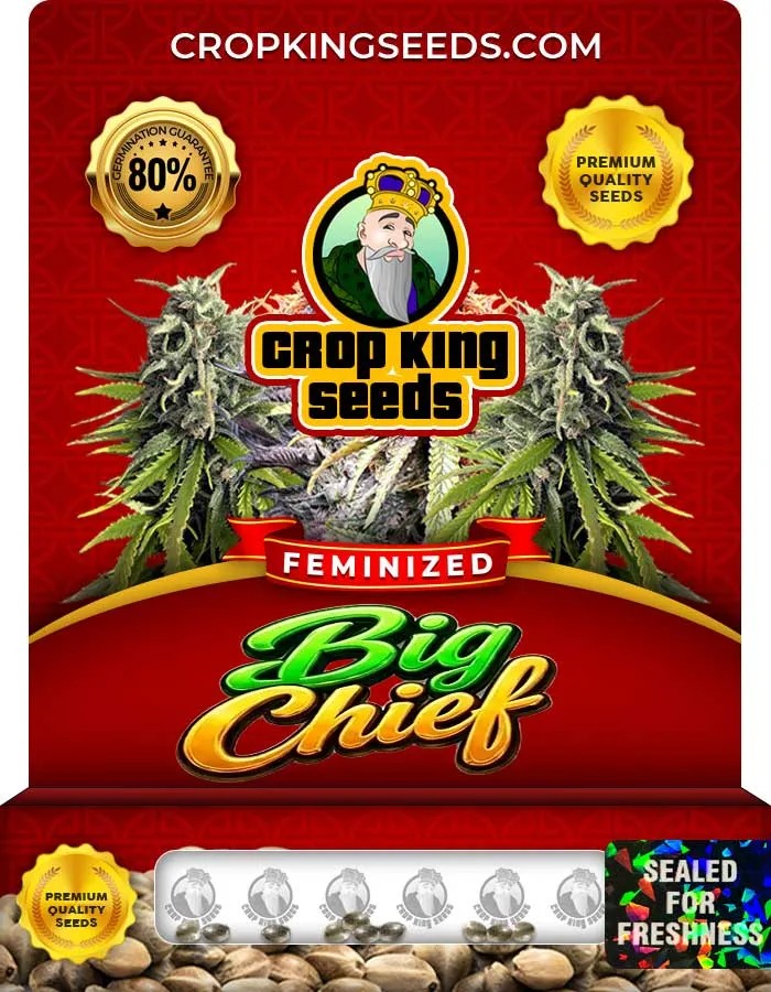 Big Chief Strain Feminized Seeds