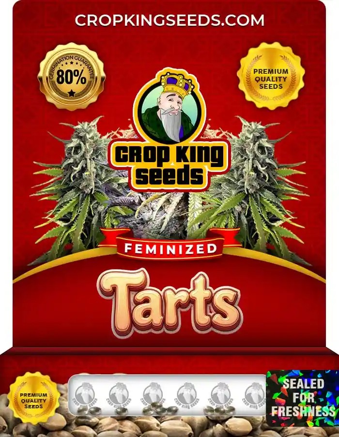 Tarts Strain Feminized Marijuana Seeds
