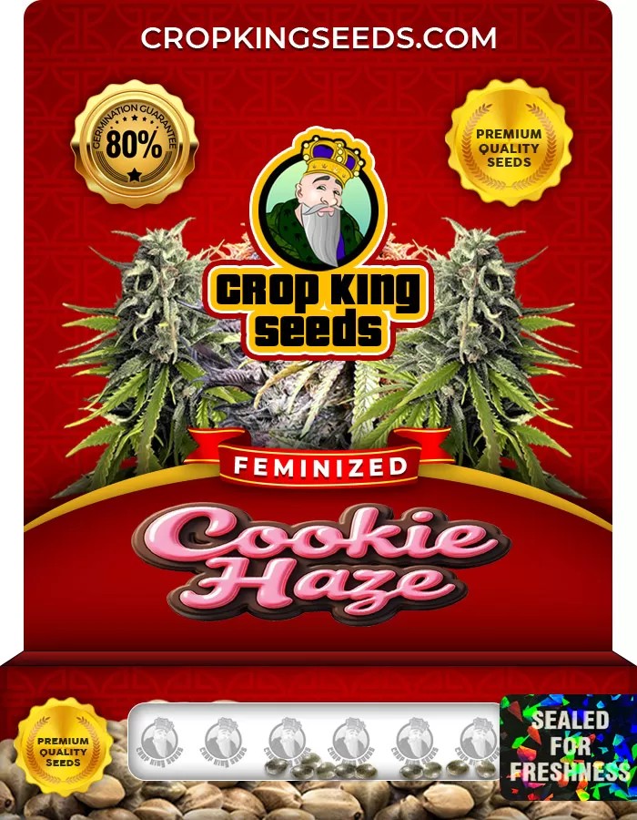 Cookie Haze Feminized Marijuana Seeds
