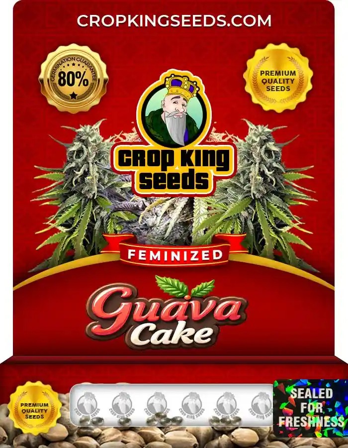Guava Cake Strain Feminized Marijuana Seeds