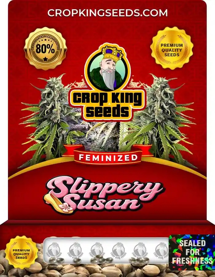 Slippery Susan Strain Feminized Marijuana Seeds