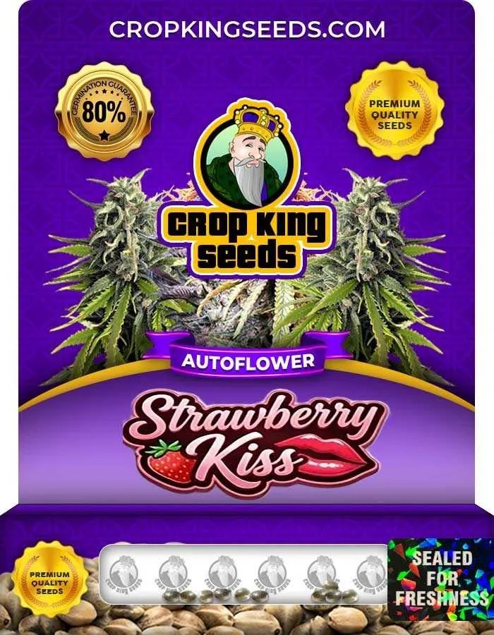 Strawberry Kiss Autoflower Seeds