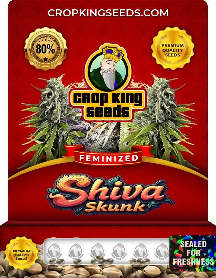 Shiva Skunk Feminized Seeds