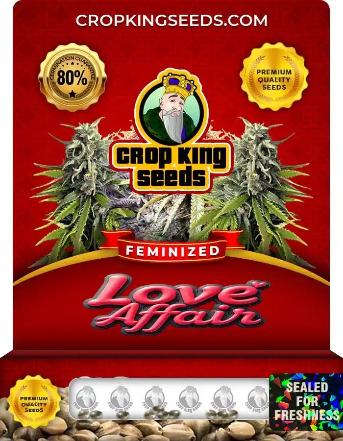 Love Affair Strain Feminized Marijuana Seeds