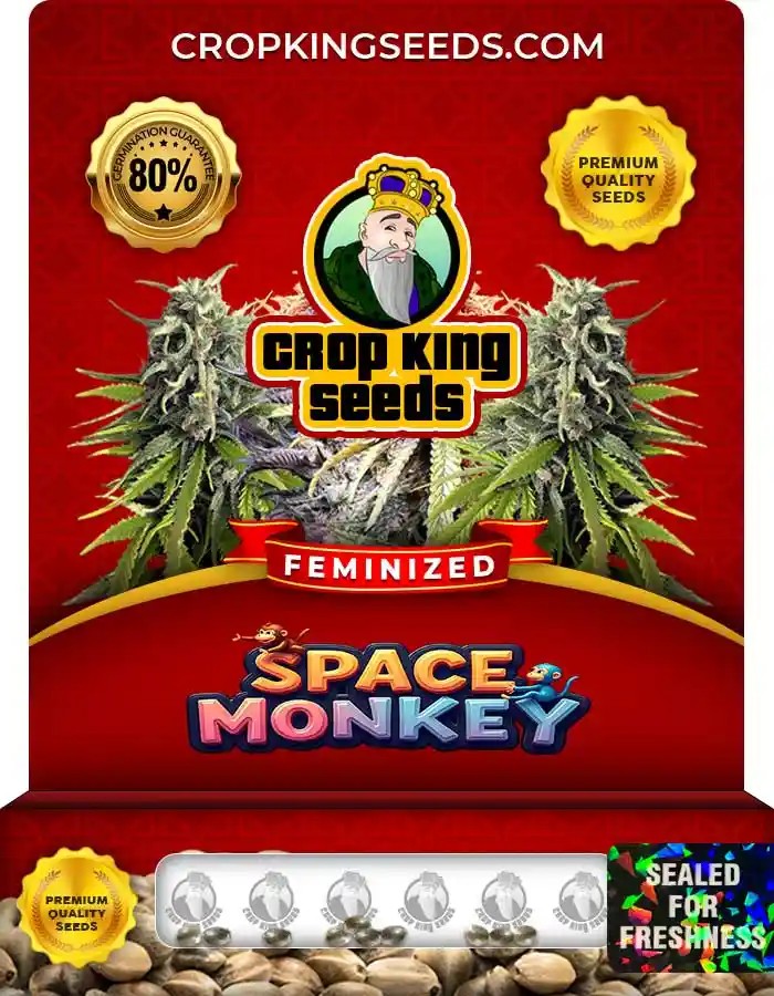 Space Monkey Strain Feminized Marijuana Seeds