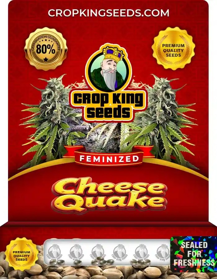 Cheese Quake Feminized Seeds