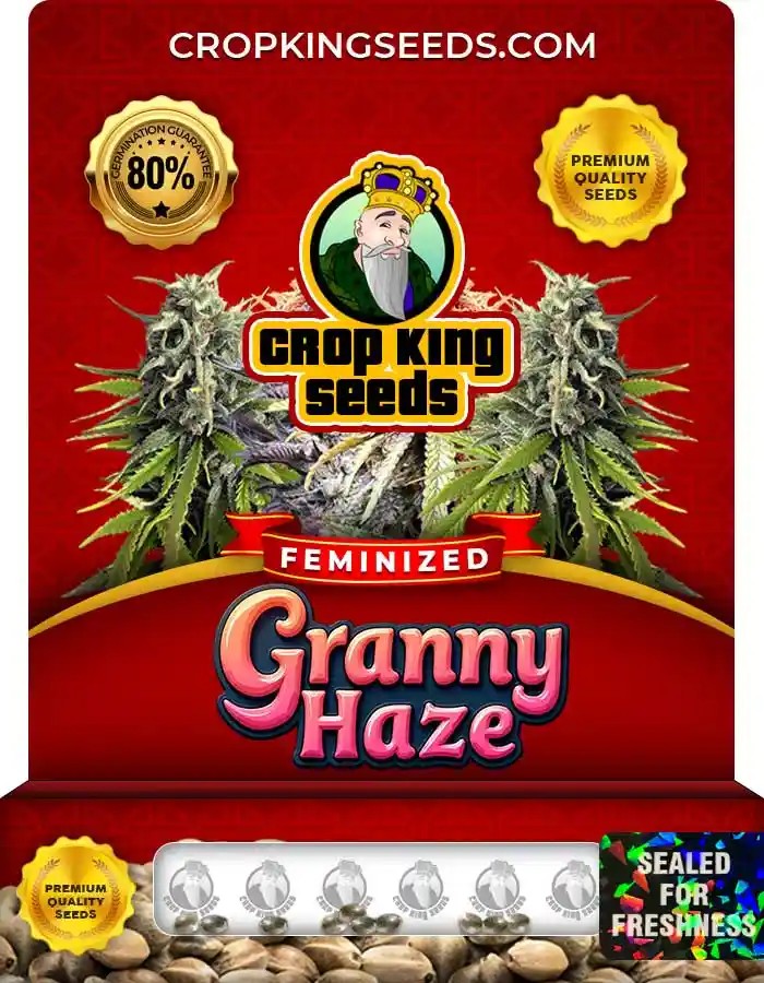 Granny Haze Strain Feminized Seeds