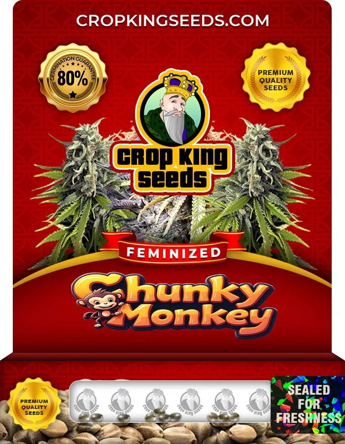 Chunky Monkey Feminized Marijuana Seeds