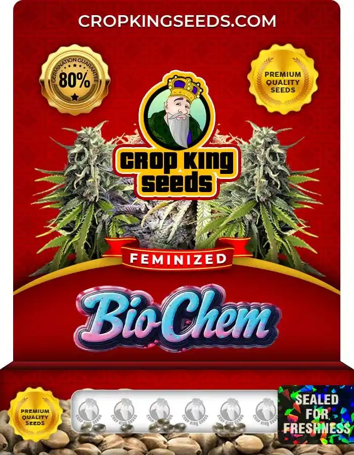 Bio Chem Feminized Seeds