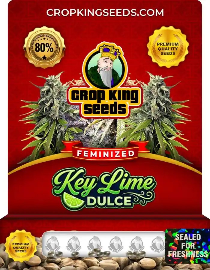 Key Lime Dulce Strain Feminized Seeds