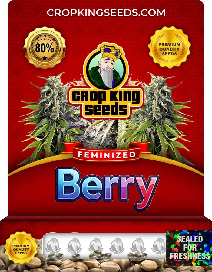 Berry Strain Feminized Seeds