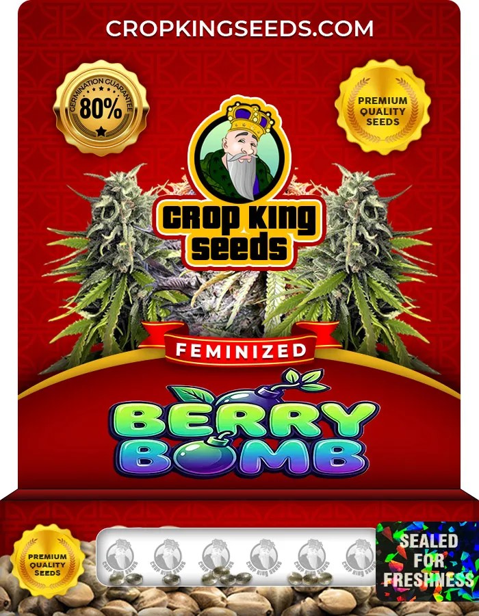 Berry Bomb Strain Feminized Seeds