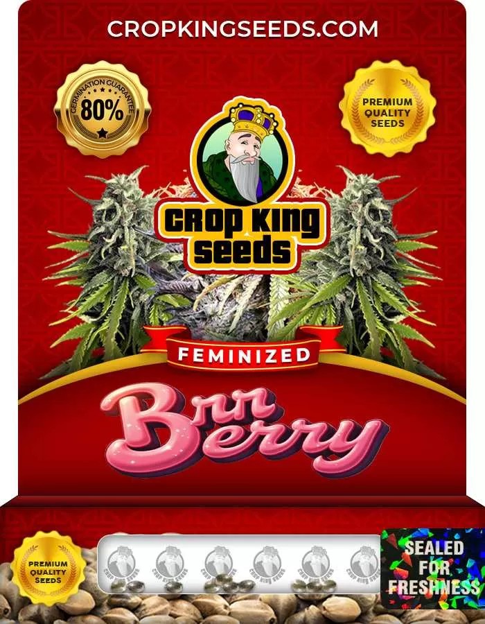 Brr Berry Feminized Seeds