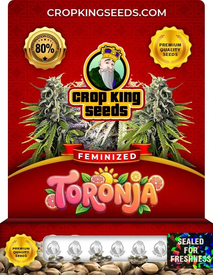 Toronja Strain Feminized Seeds