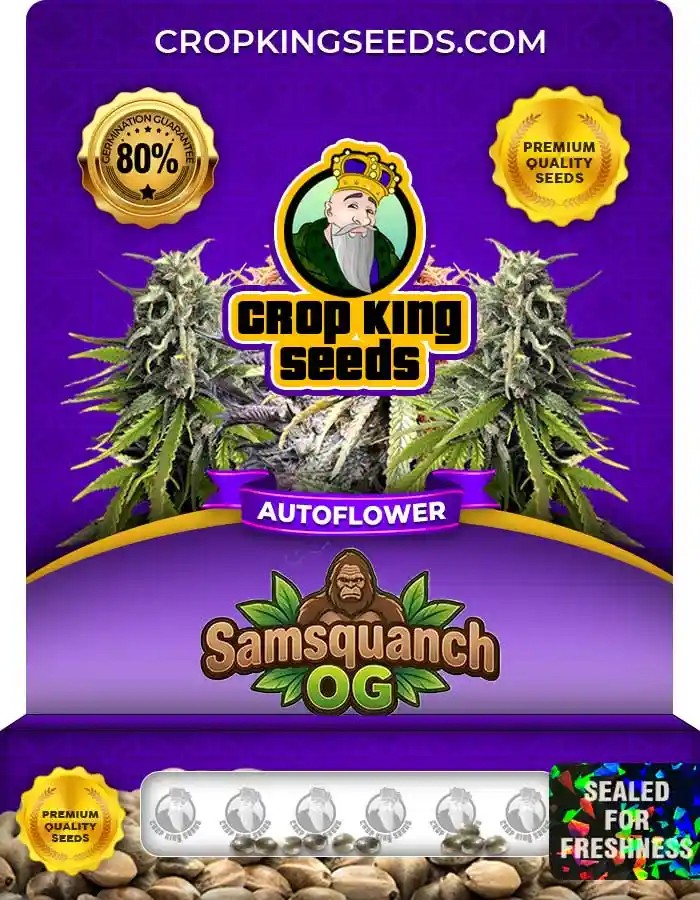 Samsquanch OG Autoflower Seeds