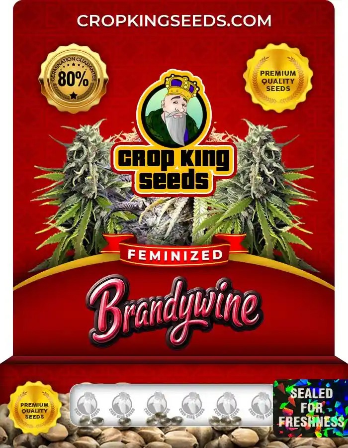 Brandywine Strain Feminized Seeds
