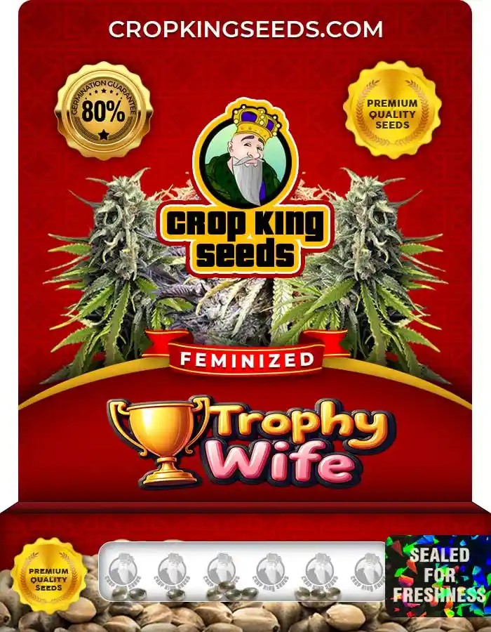 Trophy Wife Strain Feminized Marijuana Seeds