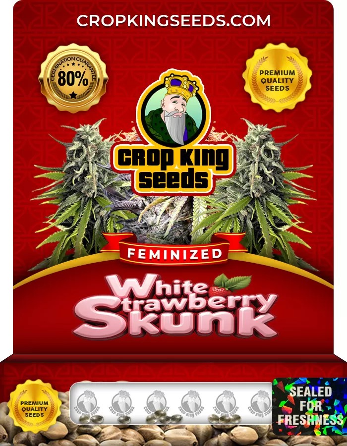 White Strawberry Skunk Feminized Marijuana Seeds