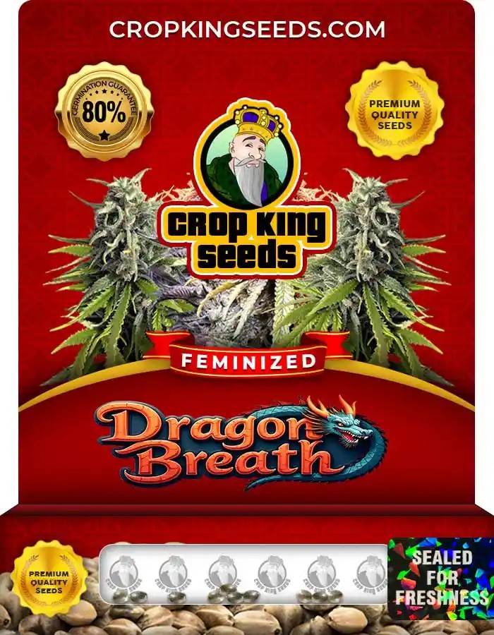 Dragon Breath Strain Feminized Marijuana Seeds